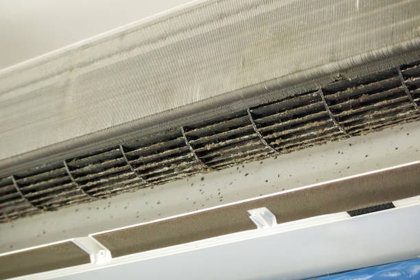 Best Air Duct Cleaning Near Me  in Lugoff, SC